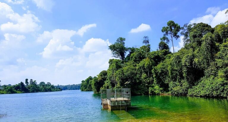 MacRitchie Reservoir Park thumbnail