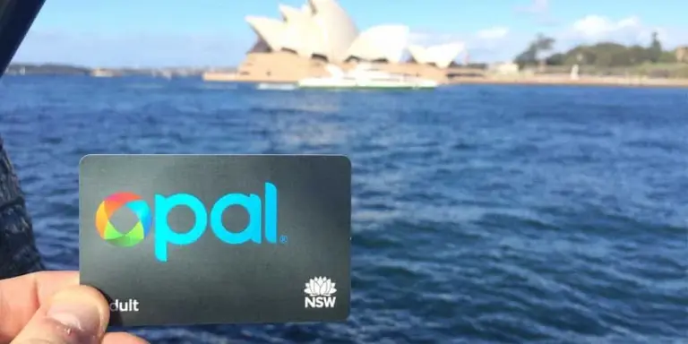 Opal 1 thumbnail