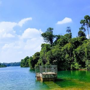 MacRitchie Reservoir Park